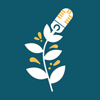 Logo de l'agence de podcast Oatmeal Studio
